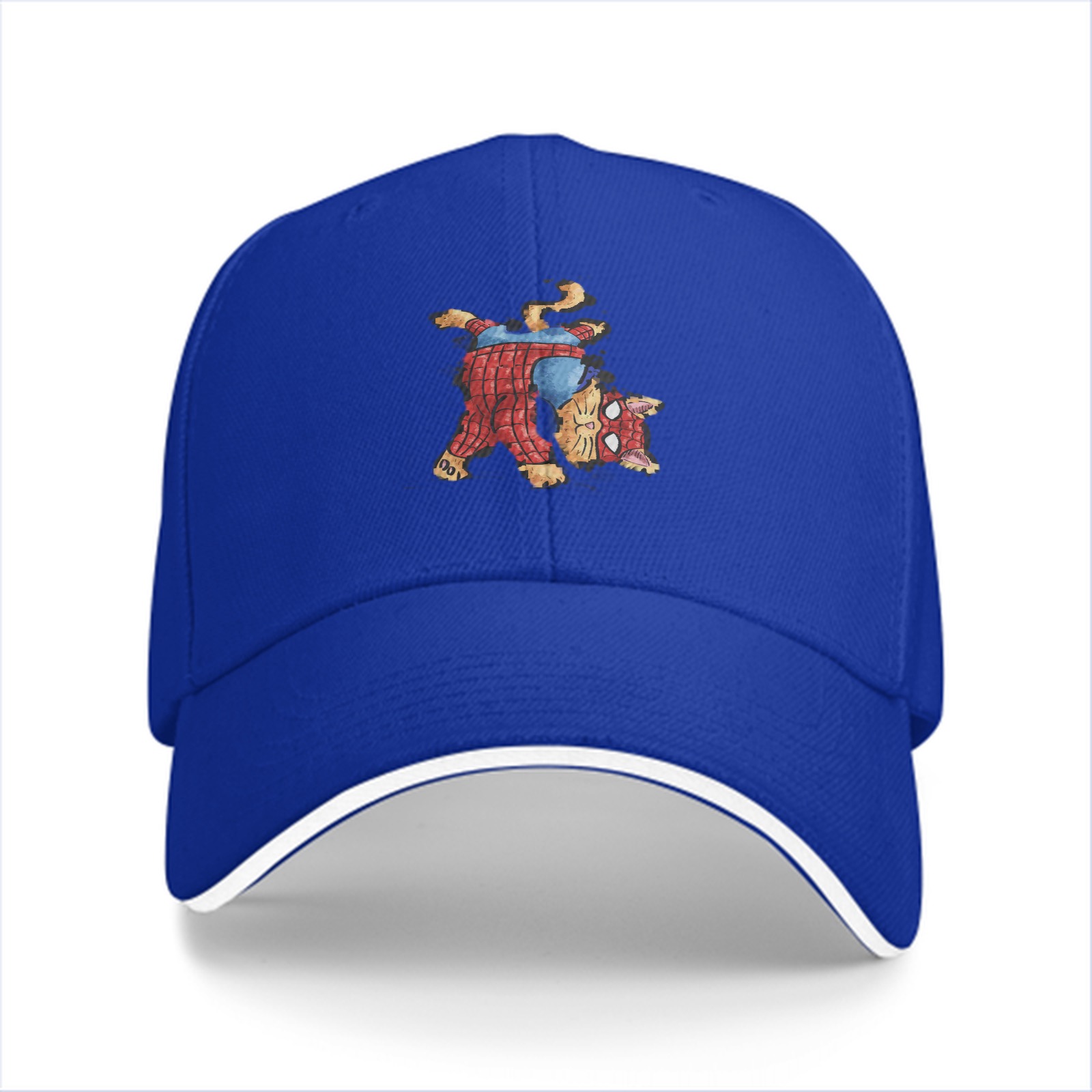 Black Baseball Cap With Spider Cat Graphic Design