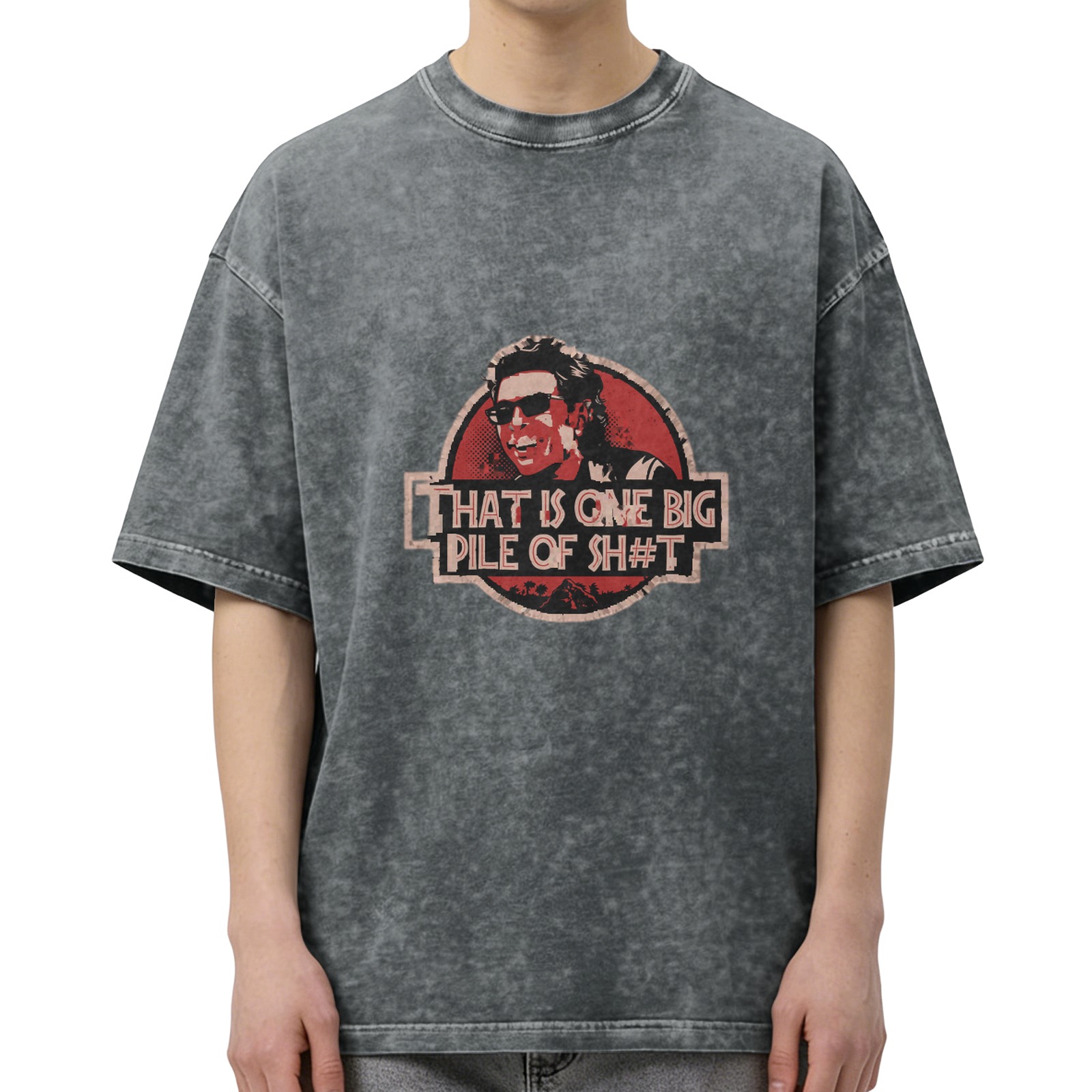 Washed Graphic T-Shirt with Jurassic Park Inspired Quote Print