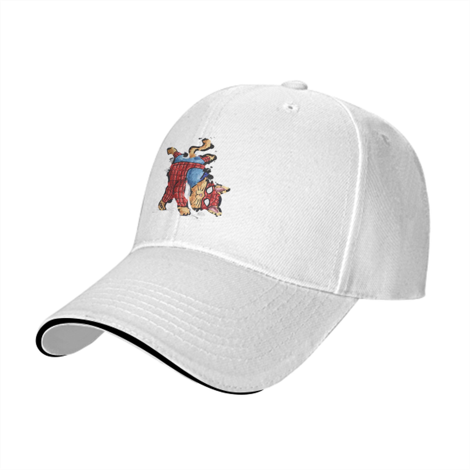 Black Baseball Cap With Spider Cat Graphic Design