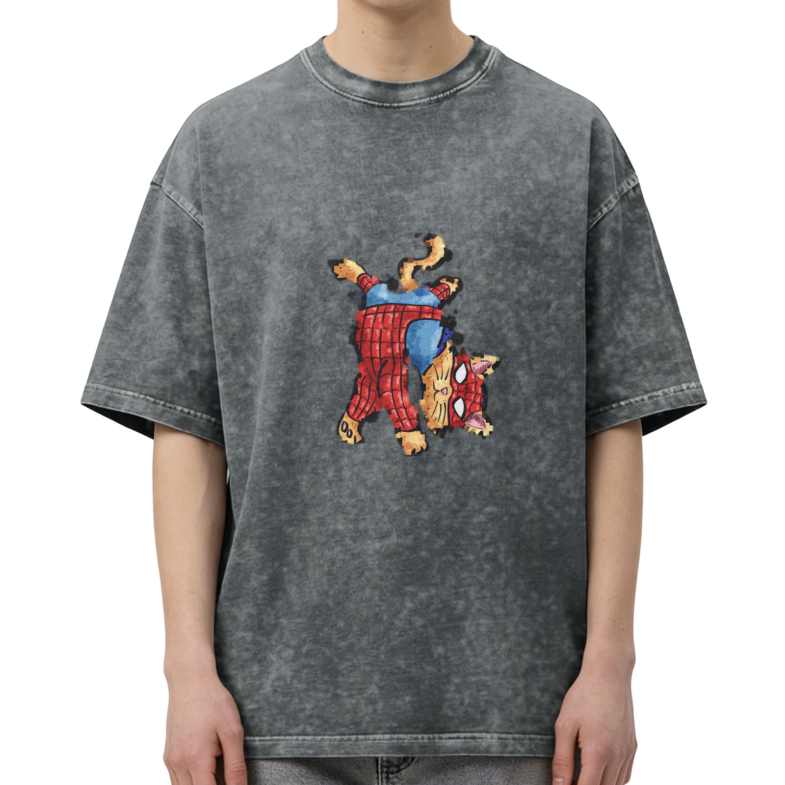 Washed Black T-Shirt With Playful Spider Cat Graphic Print