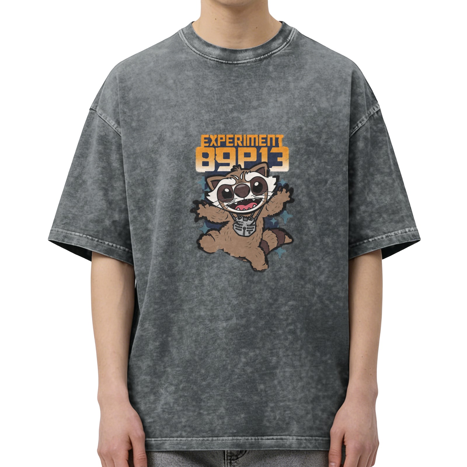 Experiment 89P13 Raccoon Graphic Vintage Wash T-Shirt