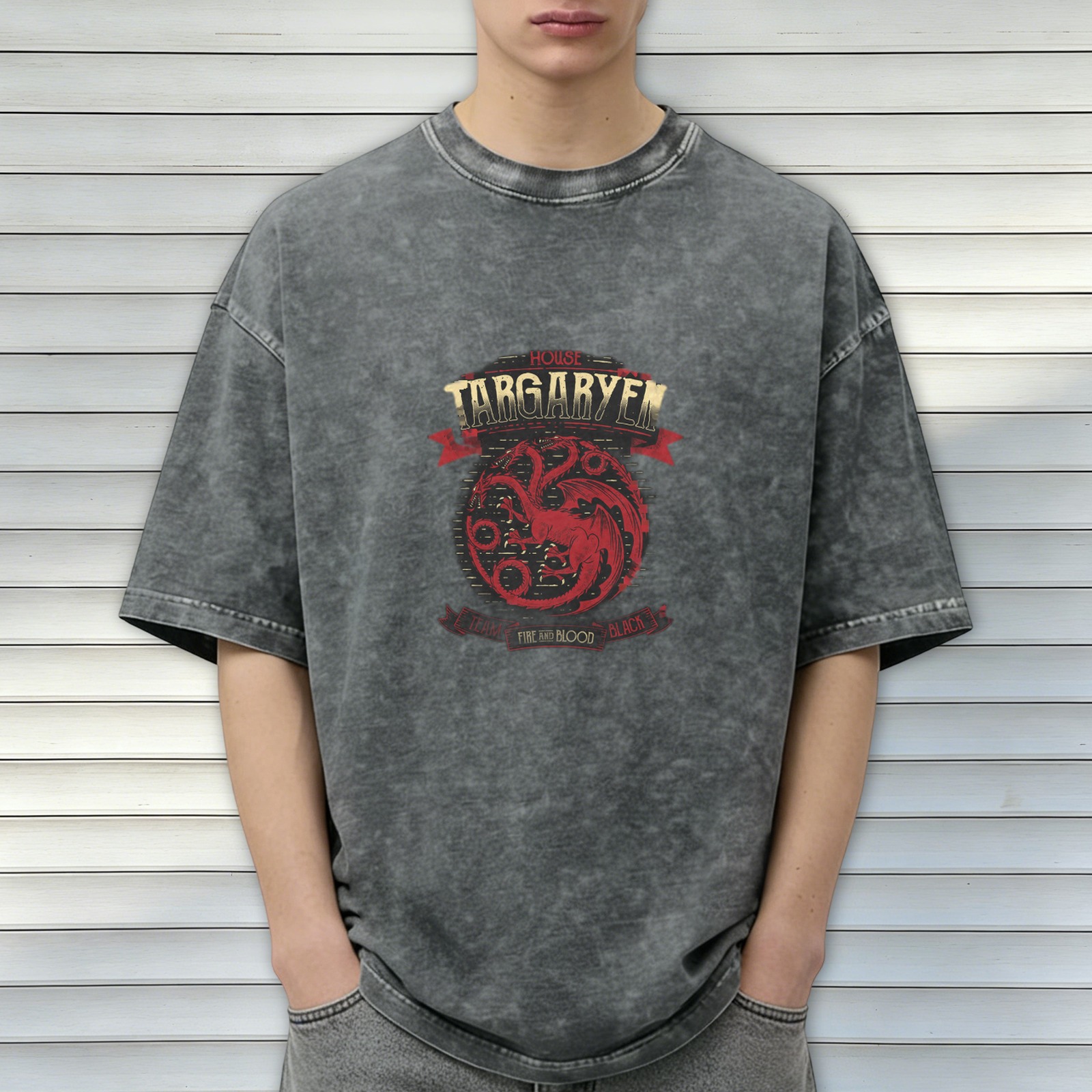 House Targaryen Fire and Blood Vintage Graphic T-Shirt