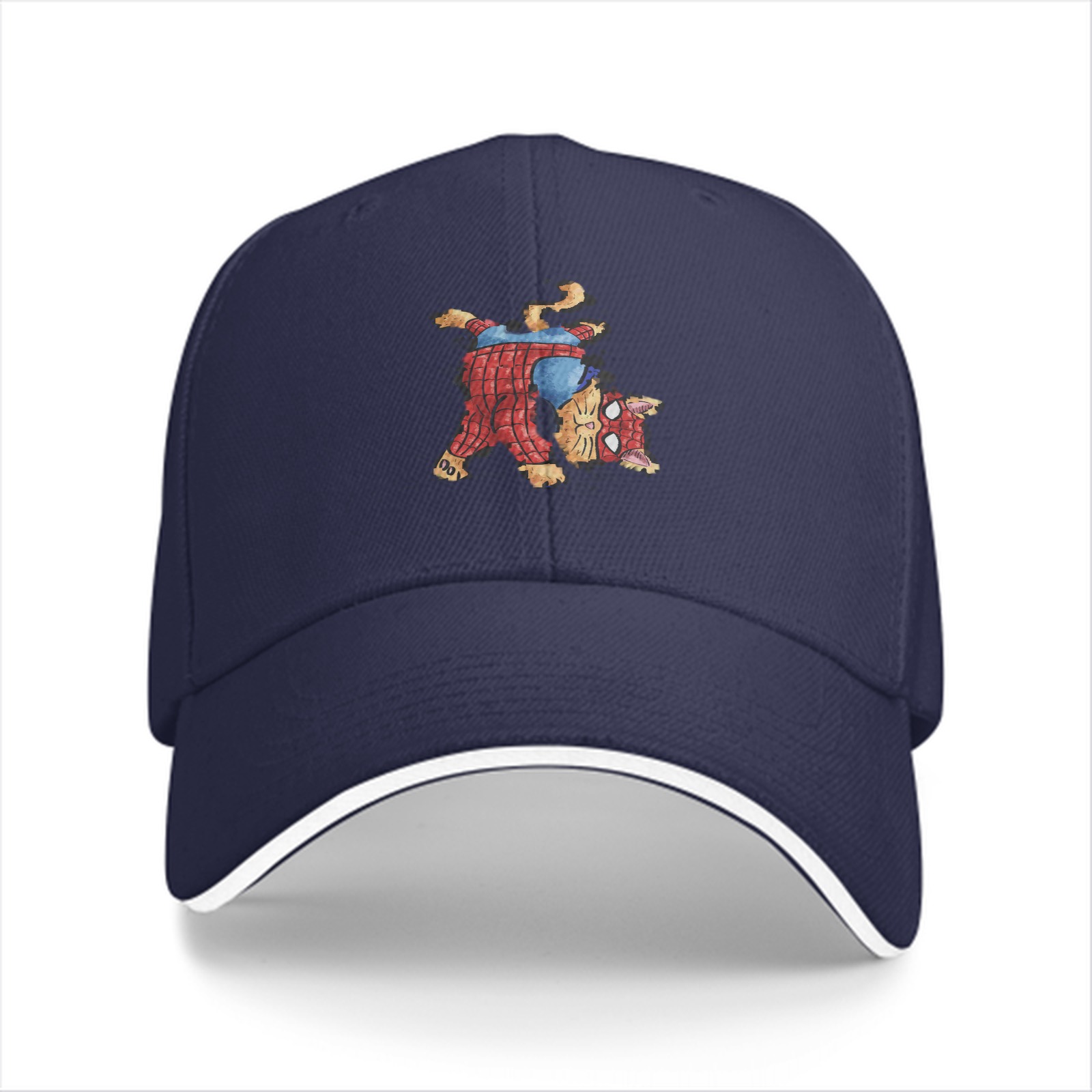 Black Baseball Cap With Spider Cat Graphic Design