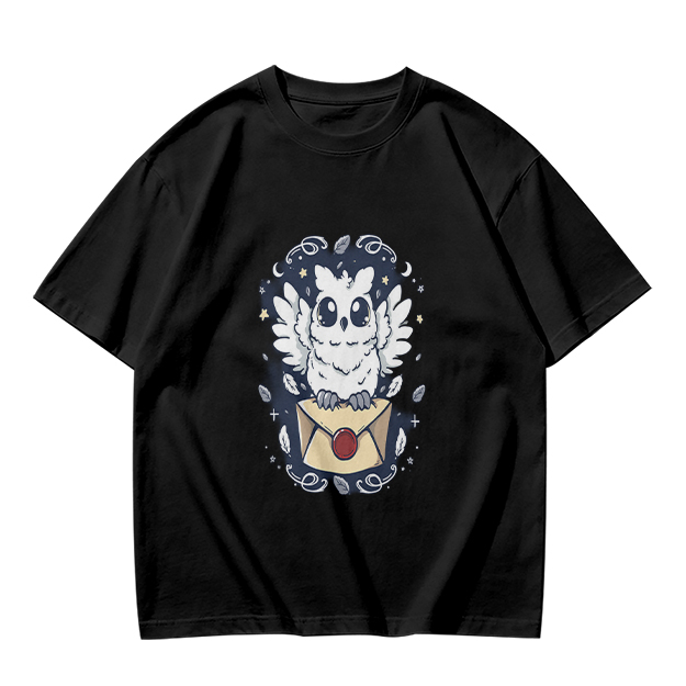 Owl with Envelope and Celestial Details Graphic T-Shirt