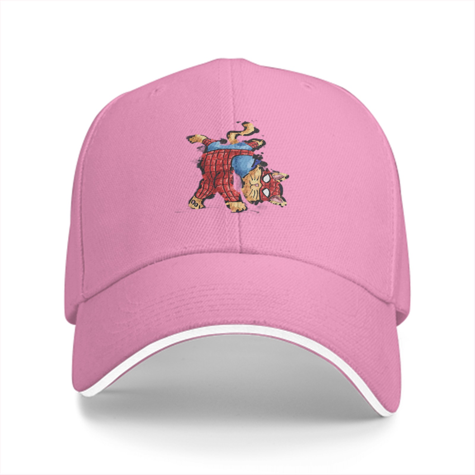 Black Baseball Cap With Spider Cat Graphic Design