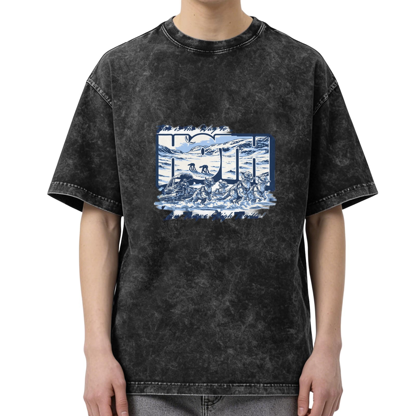 Oversized Washed Black T-Shirt with Winter Animal Graphic Print
