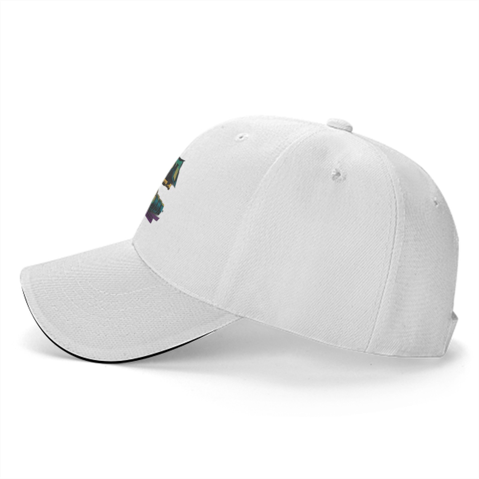 Turtle Gym New York City Graphic Baseball Cap