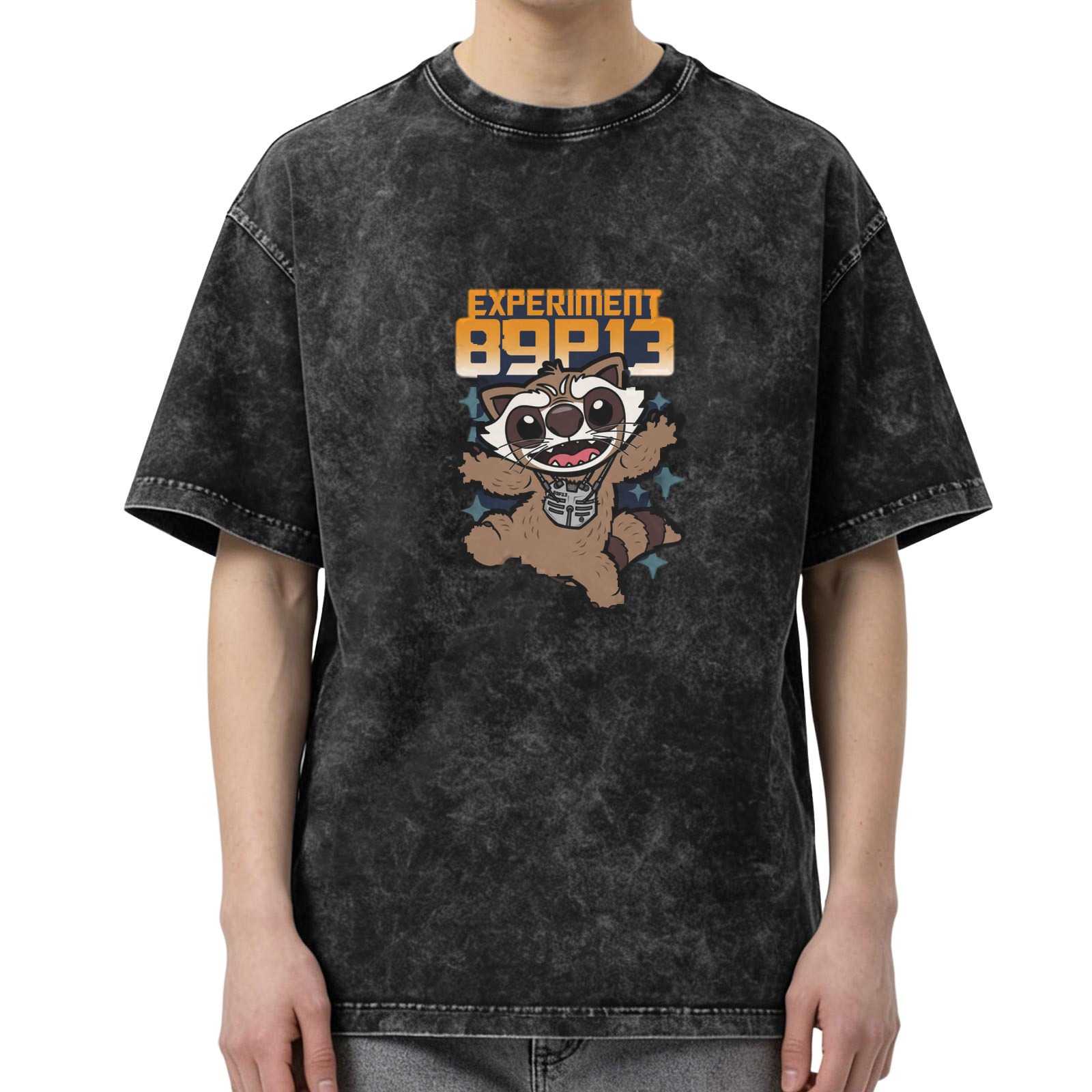 Experiment 89P13 Raccoon Graphic Vintage Wash T-Shirt