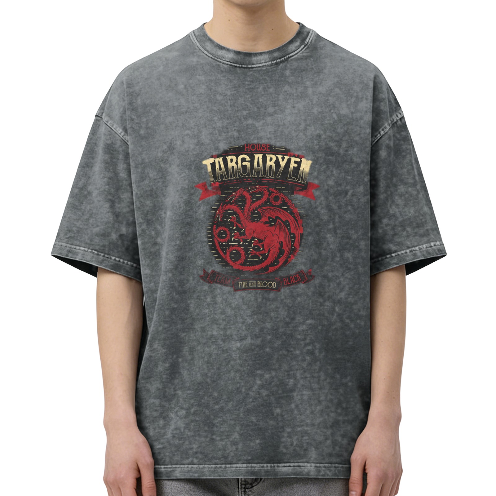 House Targaryen Fire and Blood Vintage Graphic T-Shirt