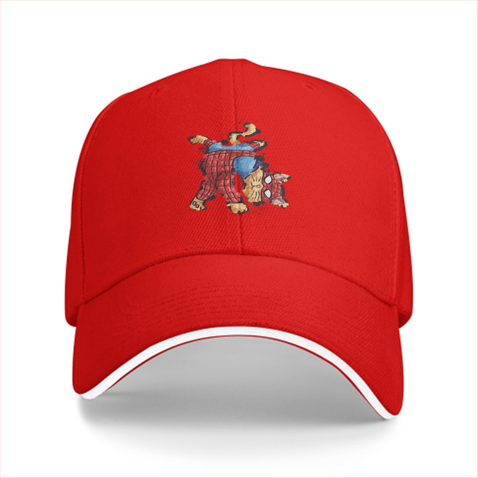 Black Baseball Cap With Spider Cat Graphic Design