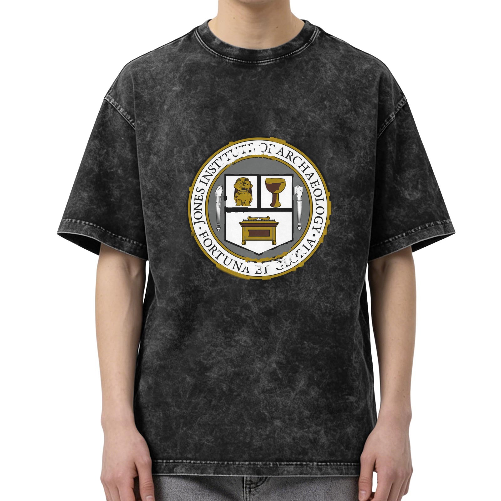 Jones Institute of Archaeology Seal Stonewashed Black T-Shirt