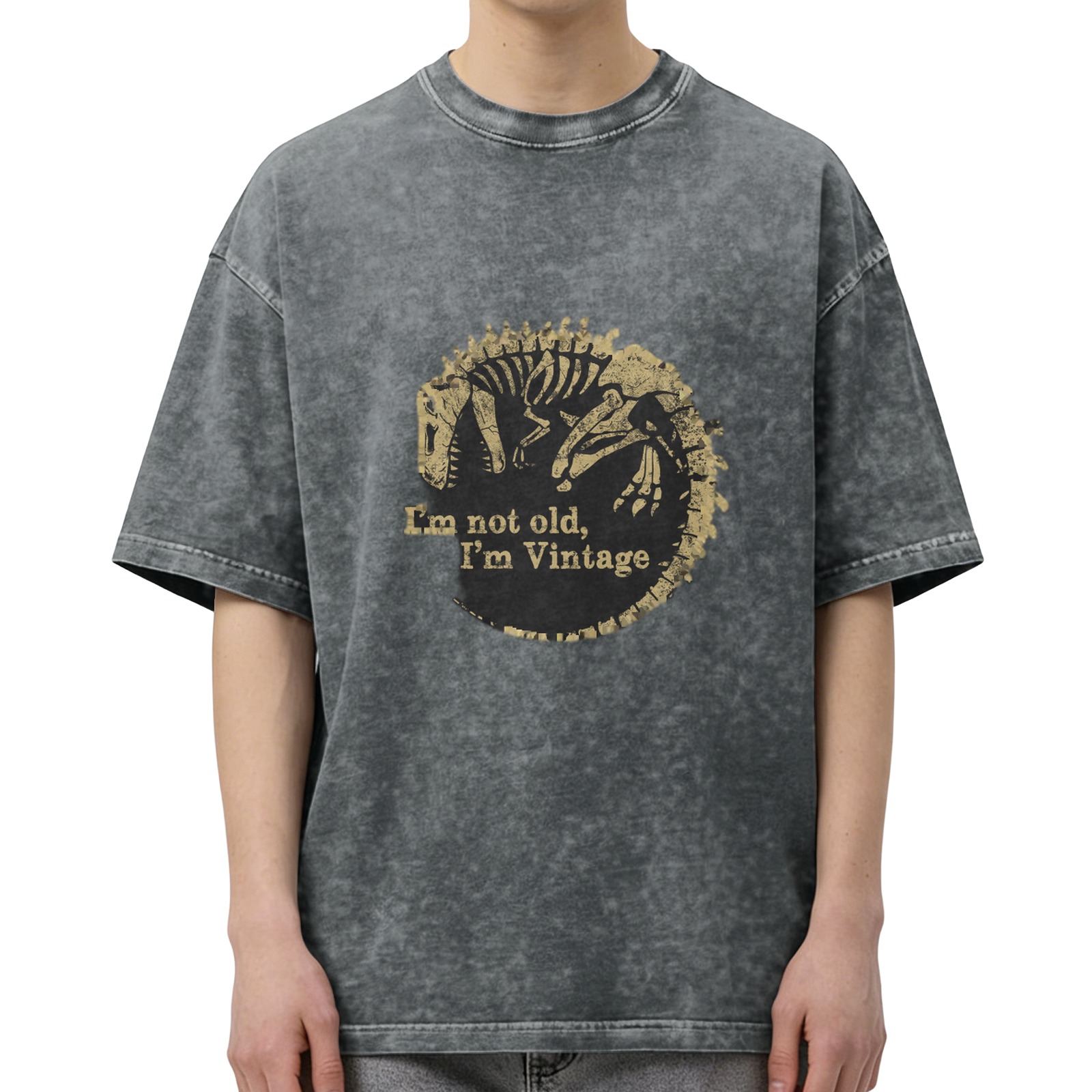 Vintage Washed T-Shirt with Dinosaur Skeleton 'I'm Not Old I'm Vintage' Print