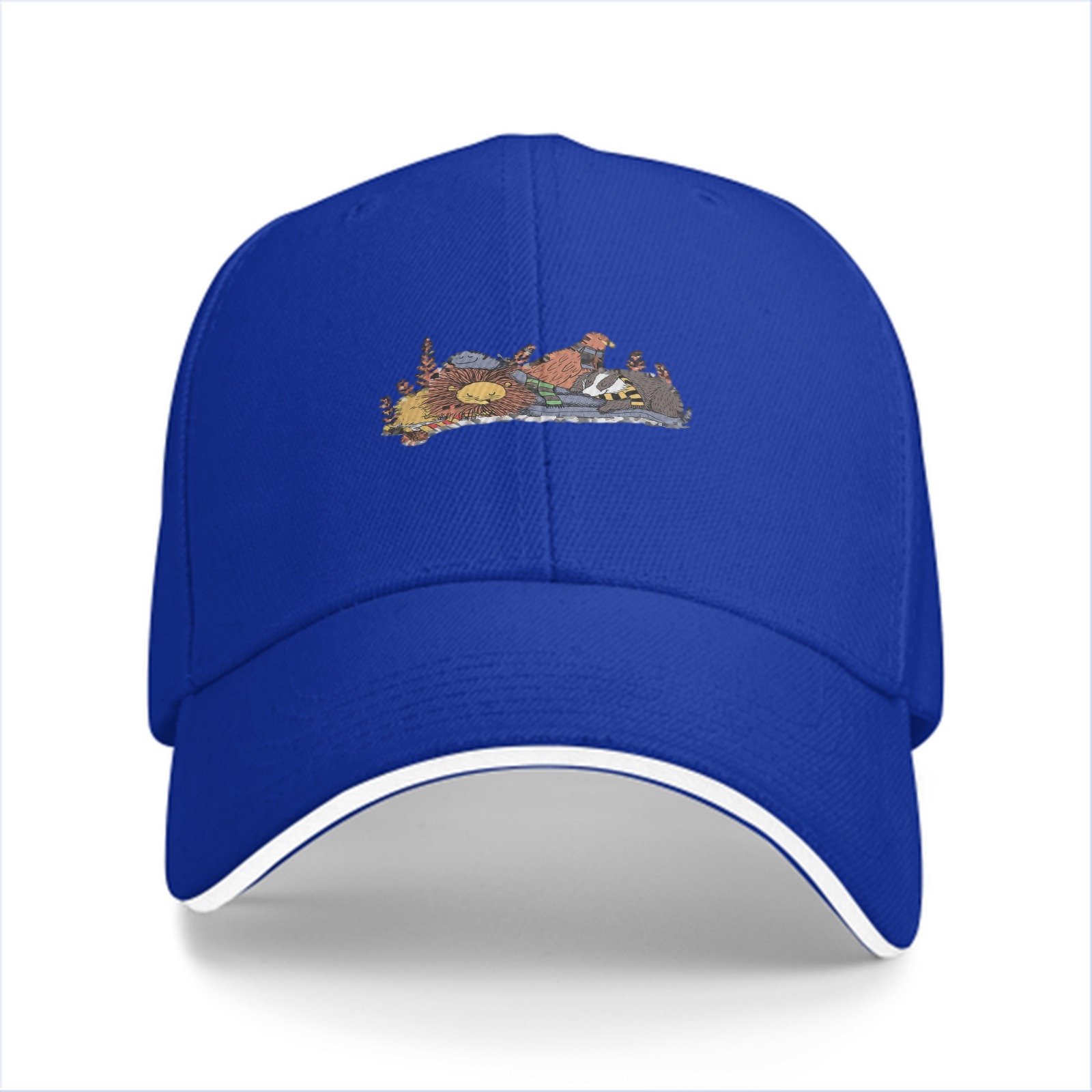 Black baseball cap with sleeping house mascots graphic