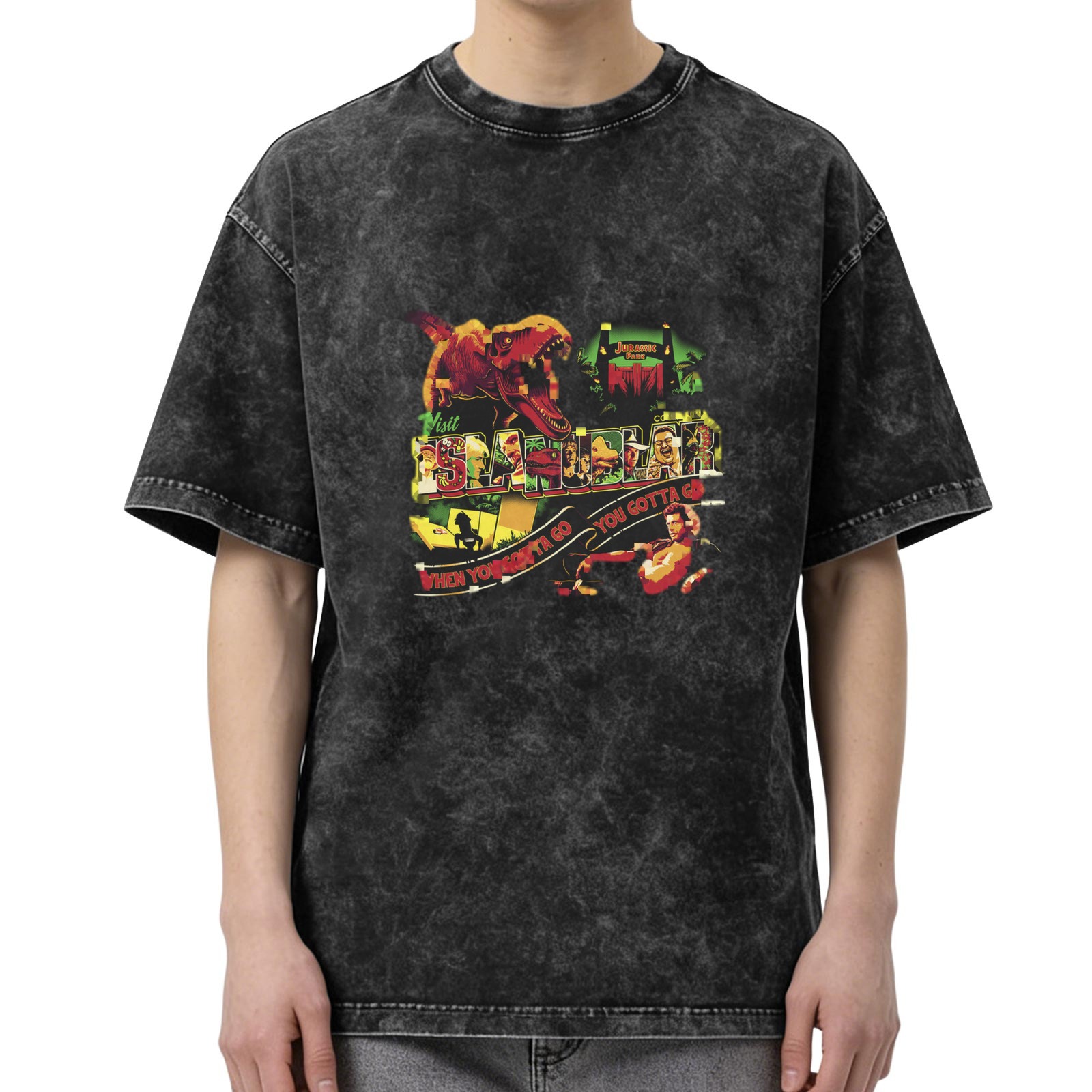 Washed Black Jurassic Park Graphic T-Shirt